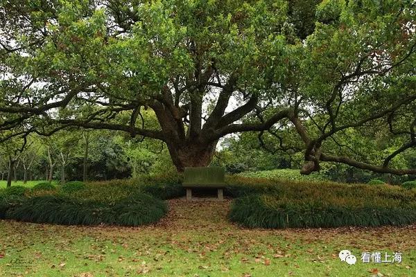 西郊宾馆的历史了解一下,西郊宾馆的环境