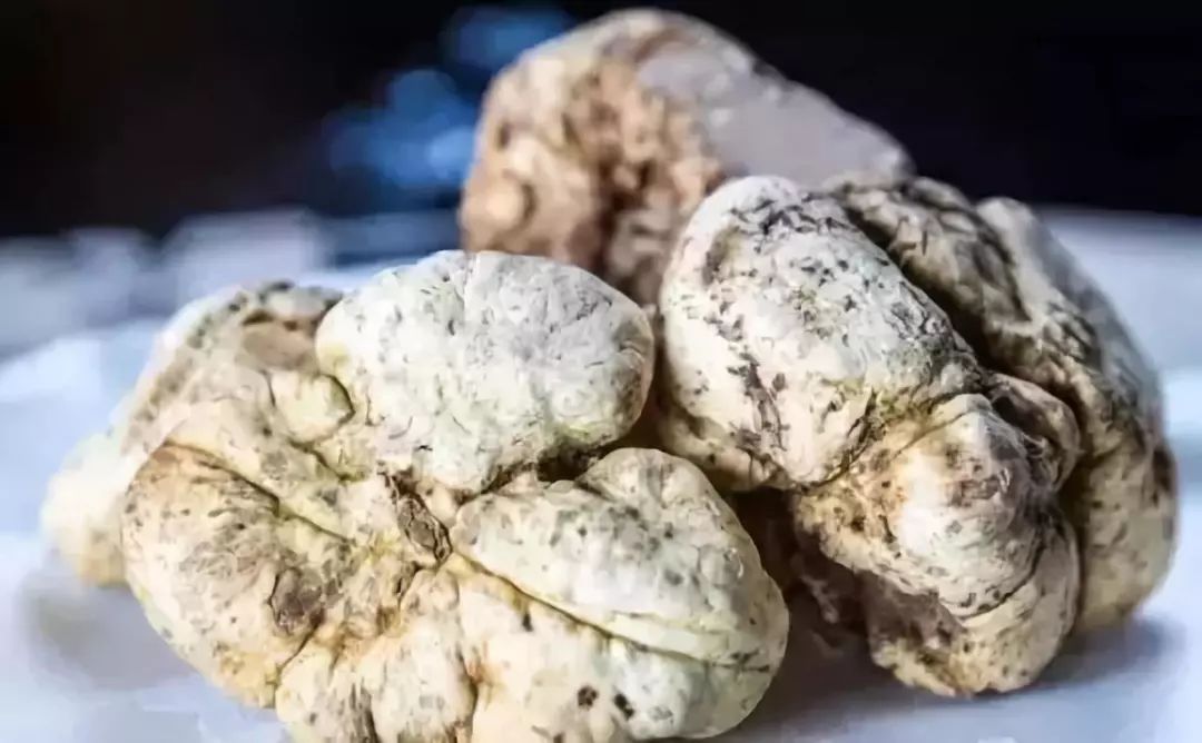 世界上珍贵的瞬间,世界上最珍贵的都是用心感受到的