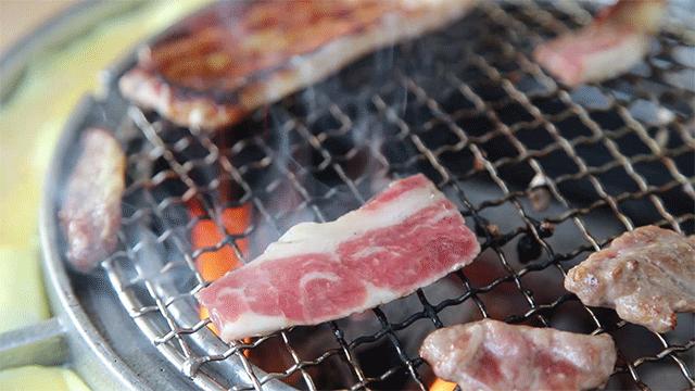 五一打卡超大的油菜花田,五一打卡家门口的花海