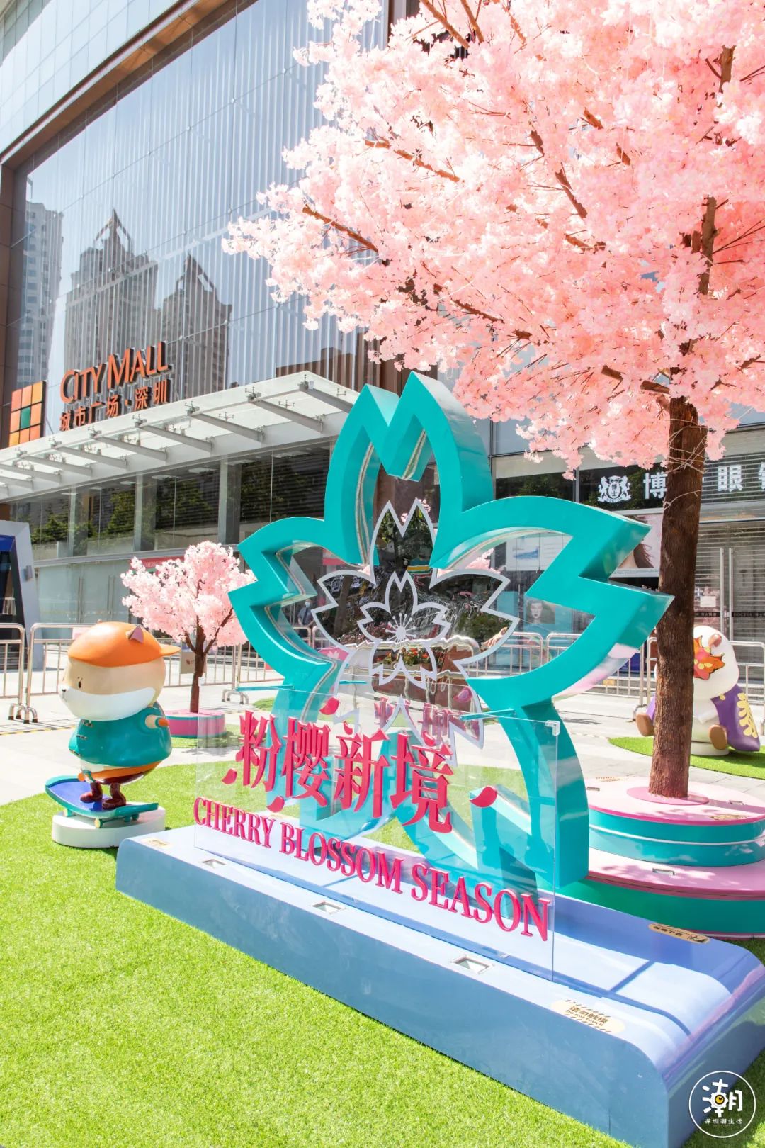 五一打卡超大的油菜花田,五一打卡家门口的花海