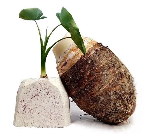 “气候好产品”第三弹：舌尖上的气候密码