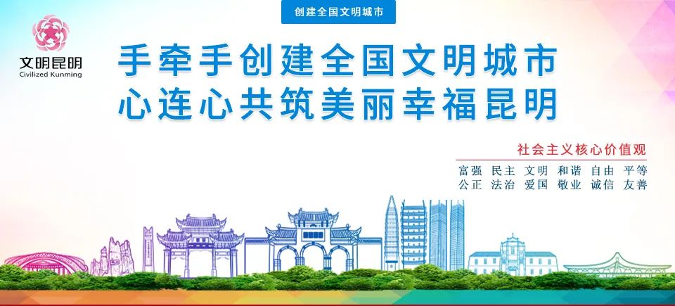 吃杨梅的季节尝一尝春天的味道,昆明又到了吃花的季节