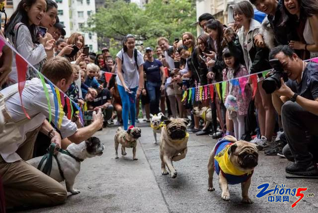 常州环球港嘉年华,常州九届全民健身运动会