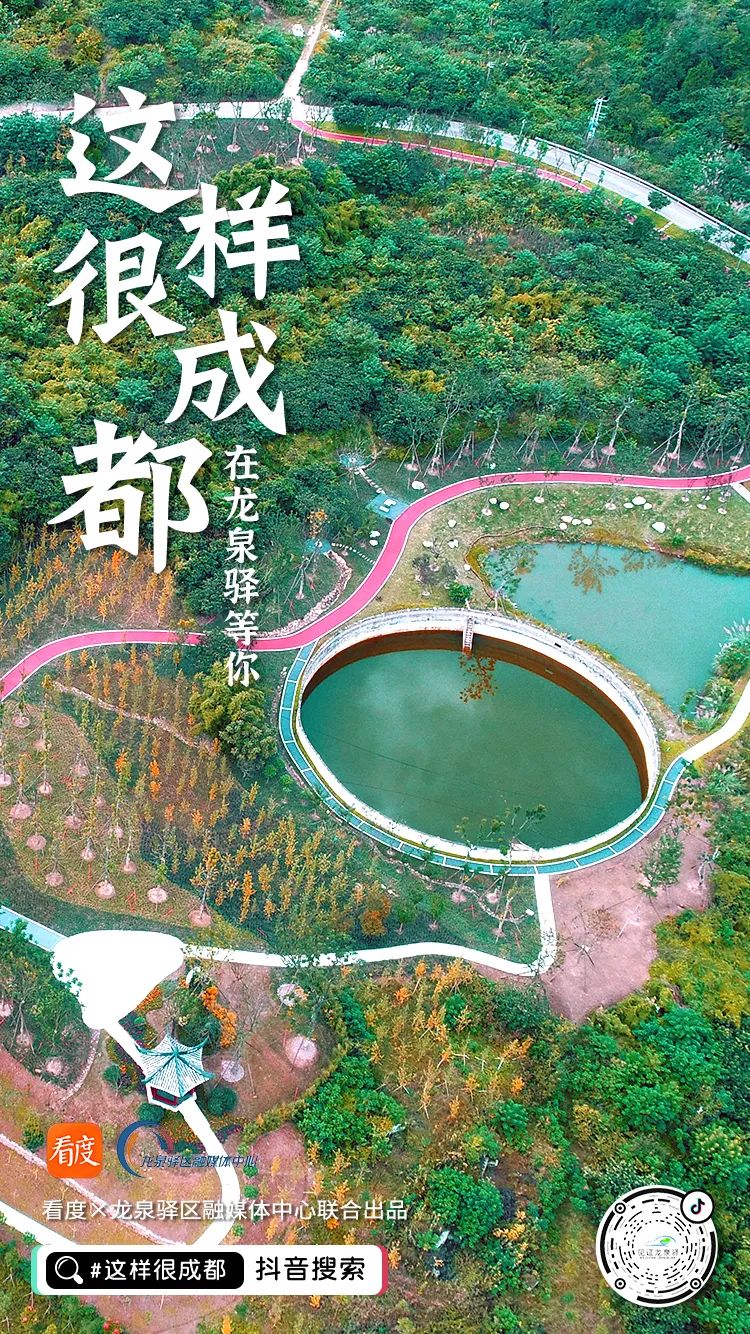 寻找成都100个打卡的地方,成都小众打卡地方推荐