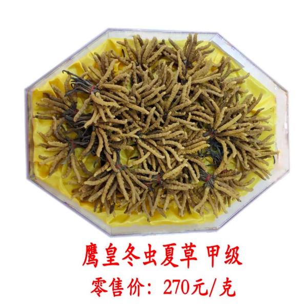 鍐櫕澶忚崏鐭虫枦绀肩洅,鍐櫕澶忚崏閾佺毊鏋枟