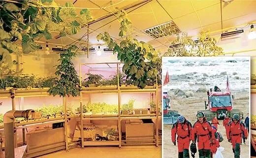 干掉千年沙漠,千年沙漠种树有多厉害