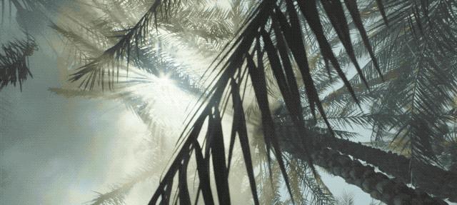 设计如何进行灵感的捕捉,设计灵感与作品