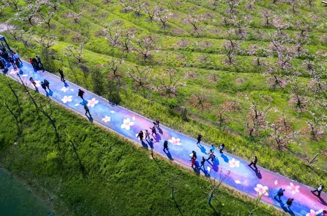 健身走起元气满满,健身走起跟着节奏嗨起来