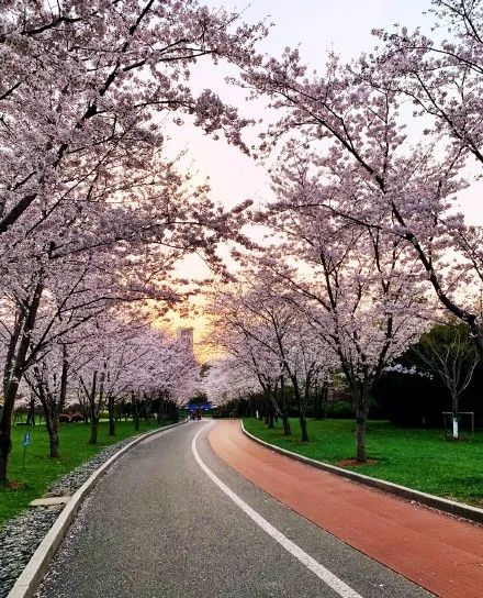 健身步道最新视频,健身走起跟着节奏嗨起来
