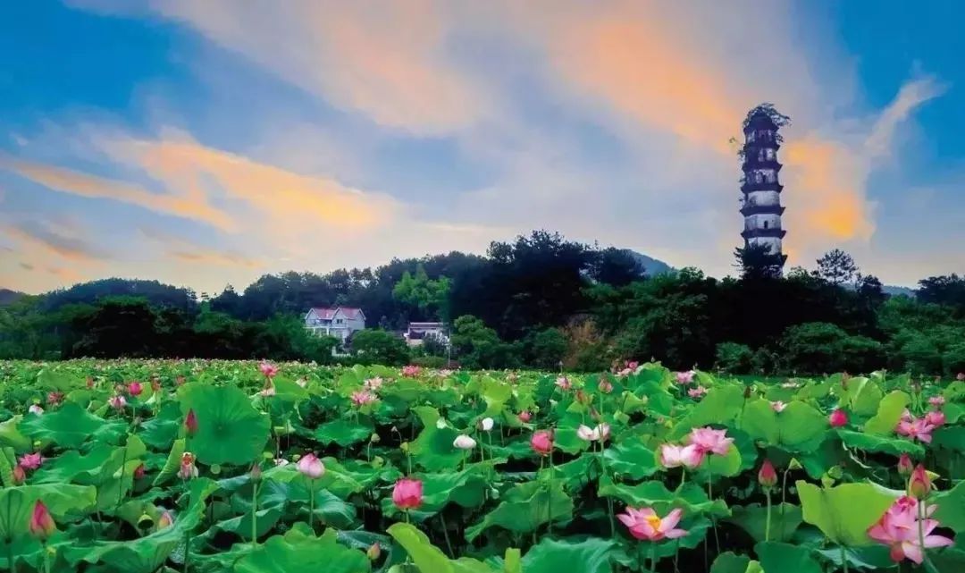 衢州有非遗的村庄,衢州哪里有文化名城