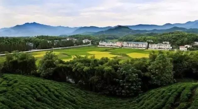 衢州市有哪些古镇老街,衢州历史文化名城公布时间