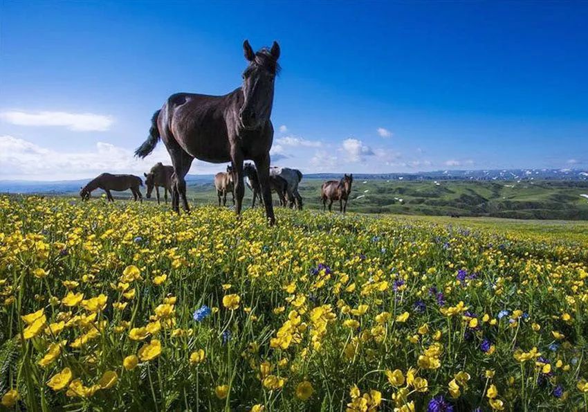 爱上赤峰，给你“12个理由”够不够？（下）