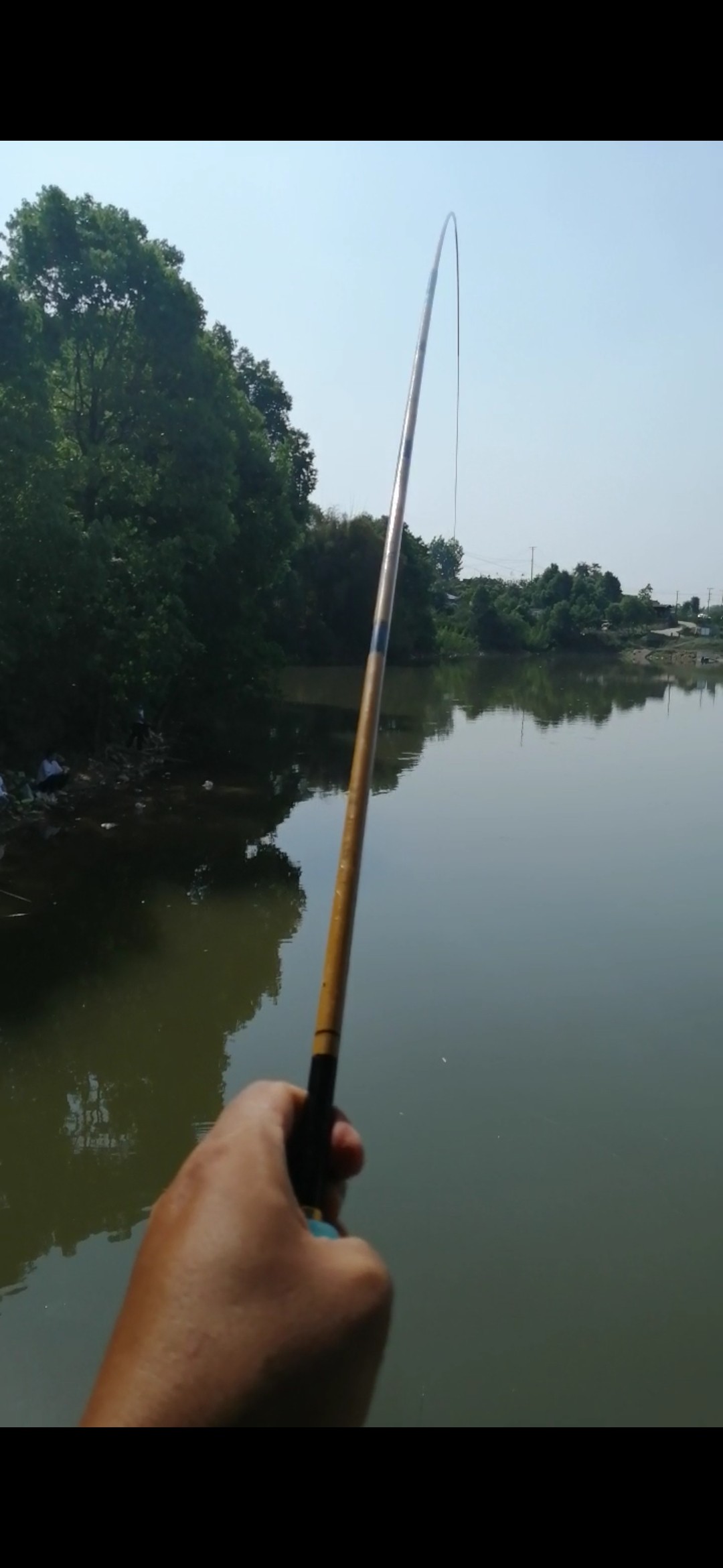 老钓友用什么钓鲫鱼,老钓友钓鱼技巧