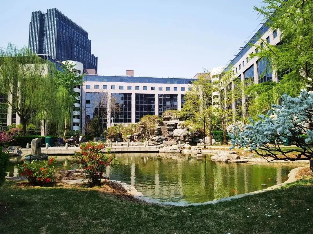 不热不堵人不多,城中开房度假难道不够爽吗?丨寻味