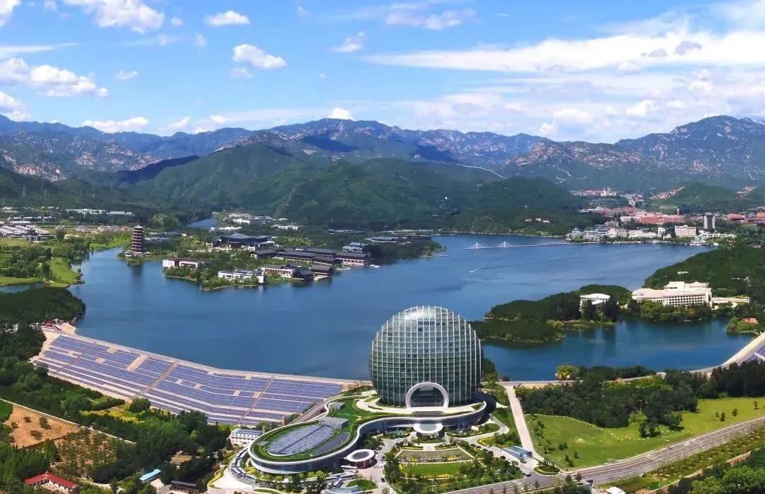 不热不堵人不多,城中开房度假难道不够爽吗?丨寻味