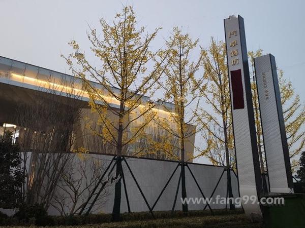 现在的户型为啥都没阳台了,没有阳台的户型能要吗