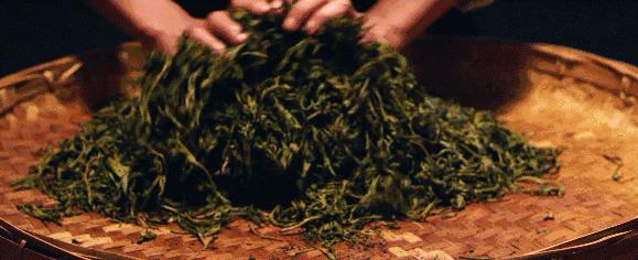 说起重口味，你赢不了俄罗斯人