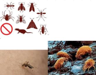 小孩子皮肤红肿瘙痒怎么回事,最近小孩皮肤过敏大面积红肿痒