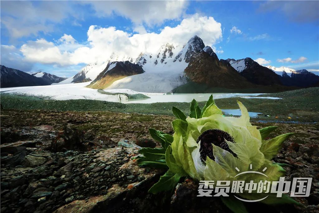 美丽中国奋斗幸福的图片,美丽中国展现新画卷