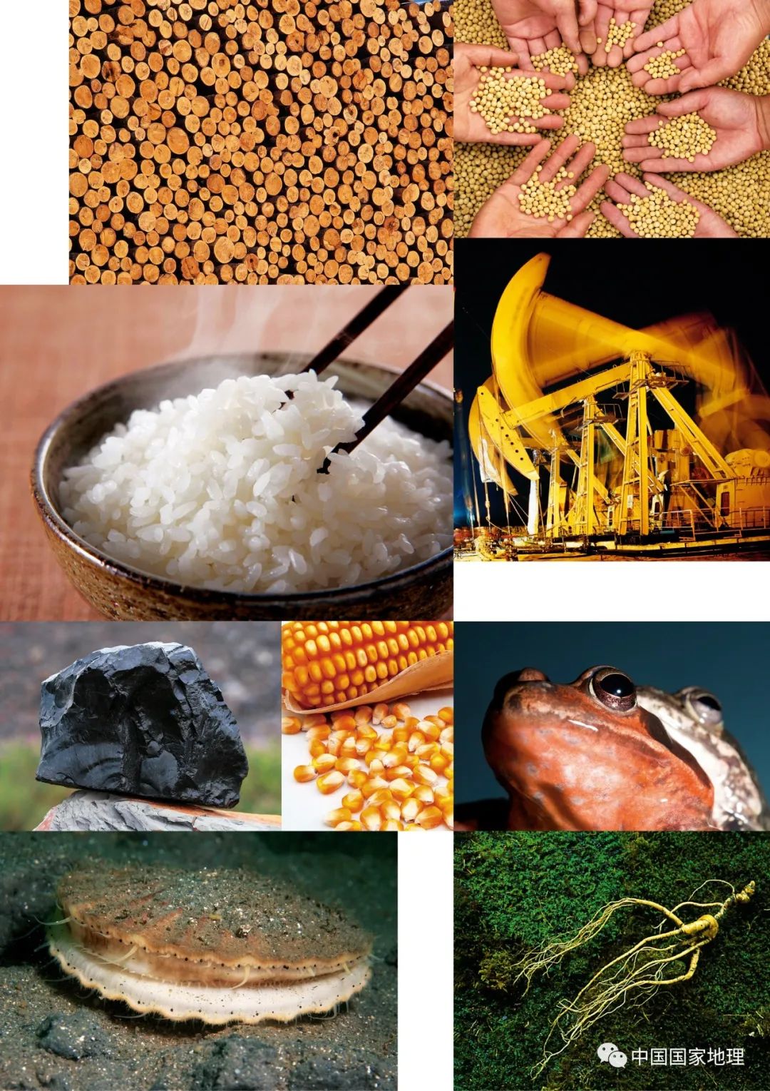 母亲节的地标照片,母亲节最值得去的地方