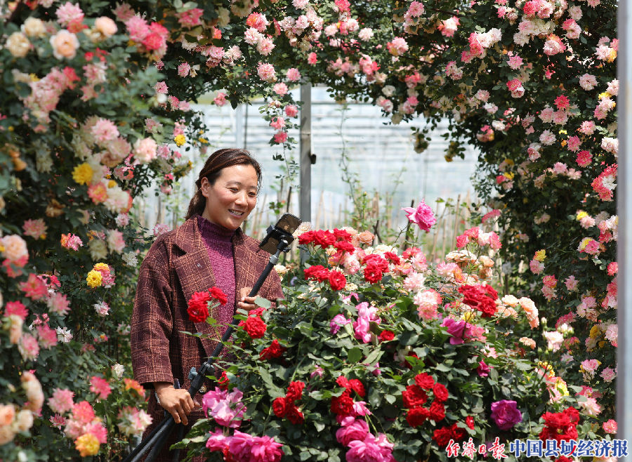 国务院通报表扬沭阳,江苏沭阳荣誉称号