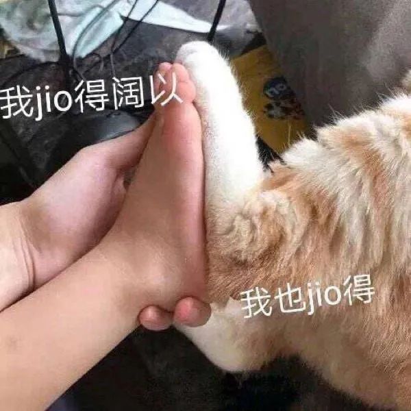 比匡威万斯还好看的帆布鞋,值得入手的匡威帆布鞋