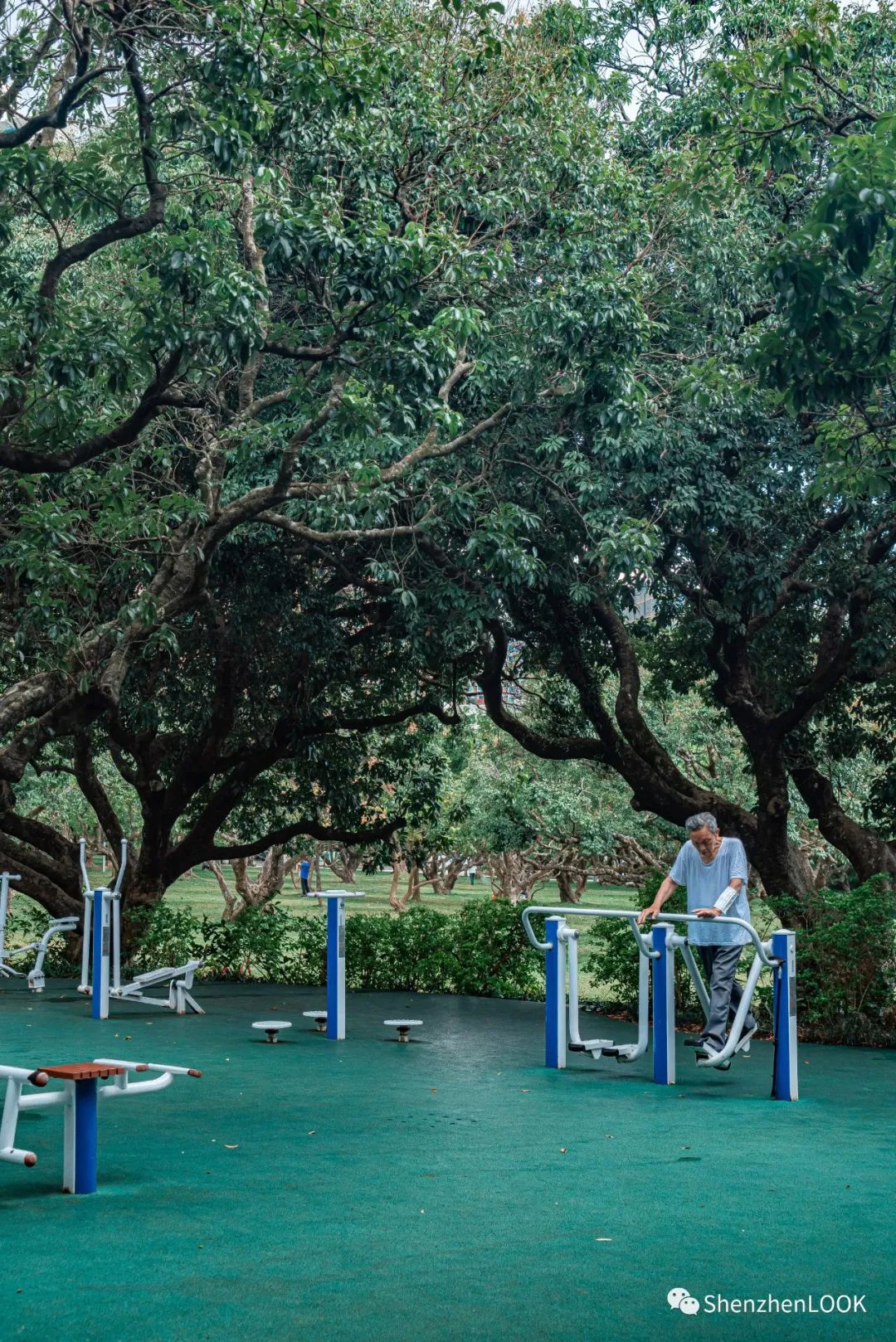 look这是什么牌子的包包,严浩翔说look这是tnt什么舞台