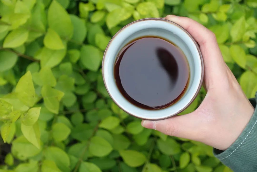 普洱熟茶为什么泡不开,普洱熟茶为什么不能存放