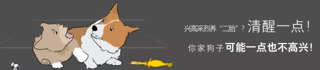 狗为什么改不了食屎的习惯,狗改不了食屎的习惯怎么办