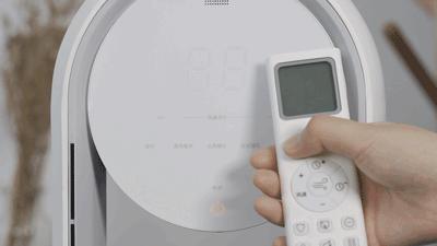 德国荣芝和戴森的无叶风扇哪个好,戴森无叶风扇为什么贵那么多