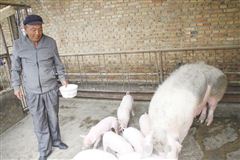 “折翼”人自主创业打开新局面