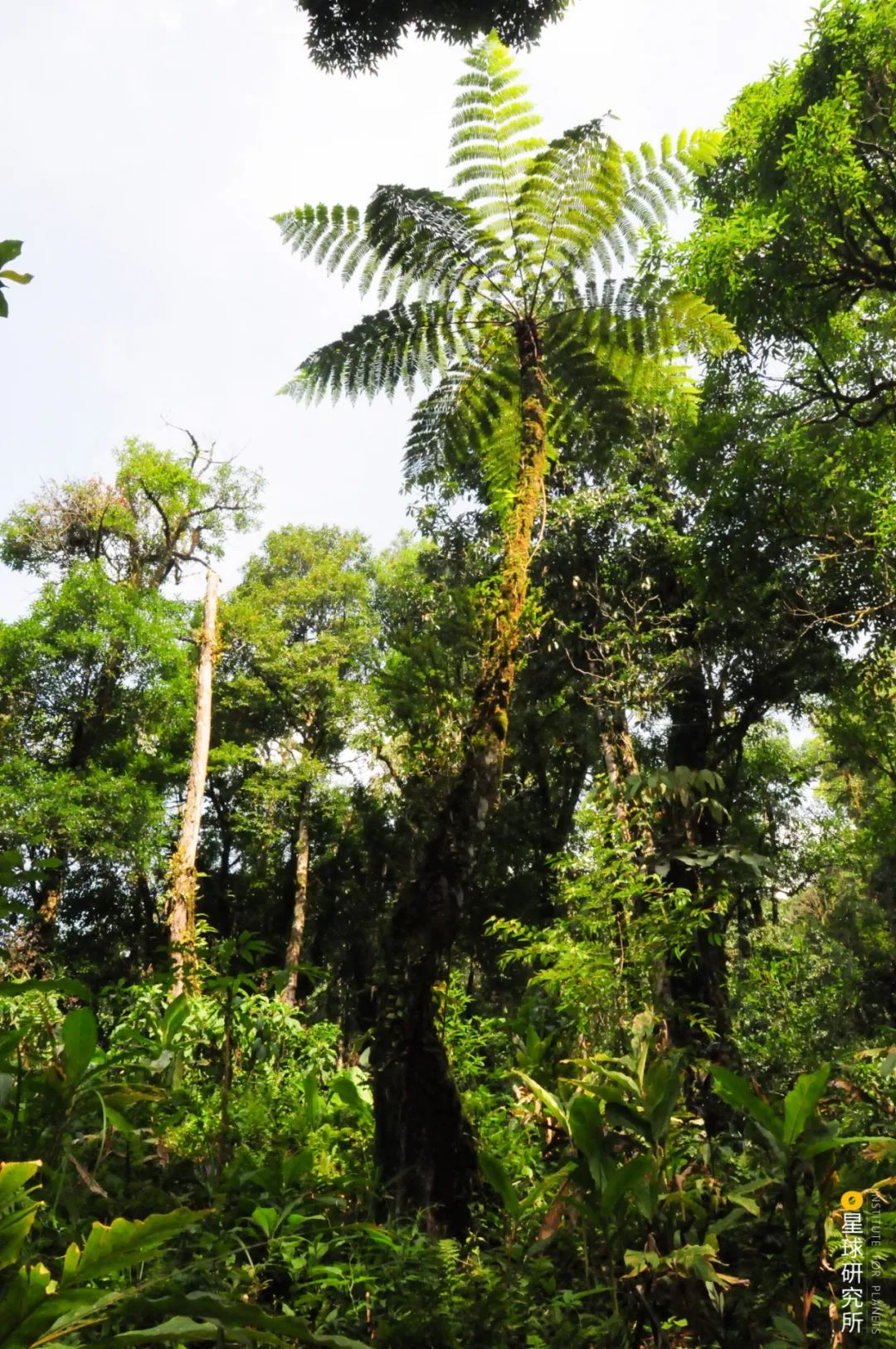 云南红河景色迷人,云南红河州哪些地方自然风光美