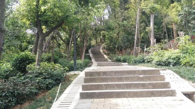 地铁10号线沿途有何景点,龙岗地铁3号线会经过哪些景点