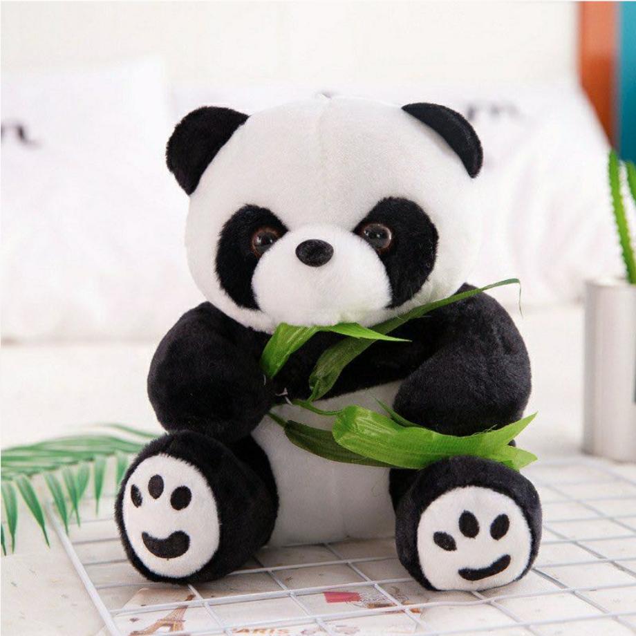 速看直播免费完整版,速看快报今天最新消息