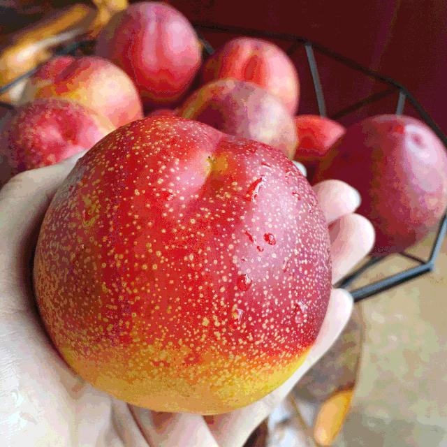 桃子油桃,黄心油桃5斤应季大桃子