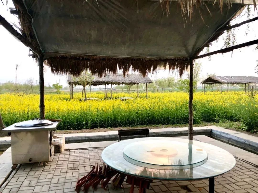 淄博博山区门票免费政策,淄博周边免票