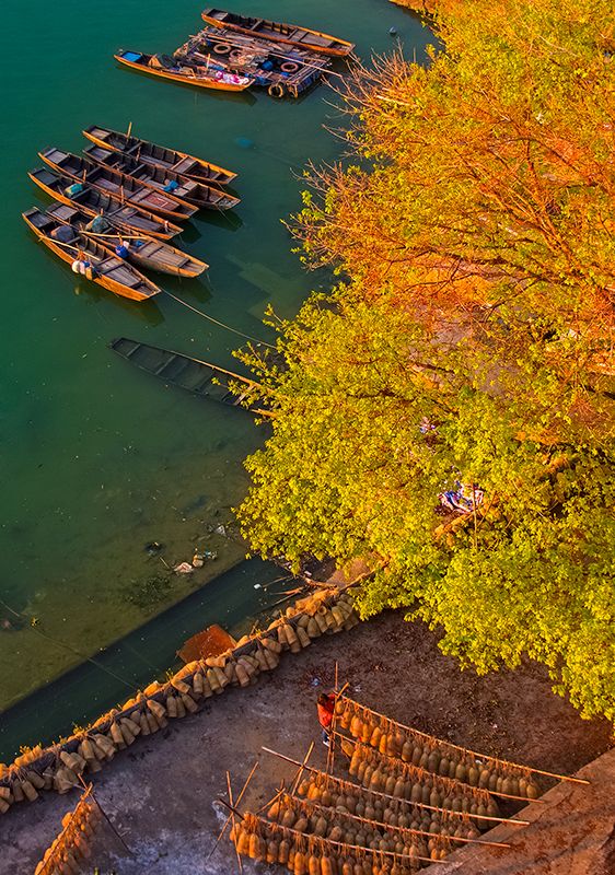 这里是广东,走进顺德