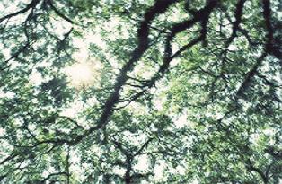 肥东县再添医疗配套,肥东县中医院冬病夏治