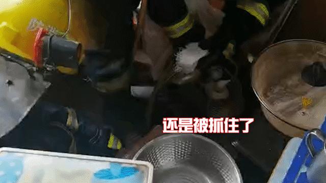 惊悚！锡城近日，蛇出没频繁，遇到它这么办？戳→