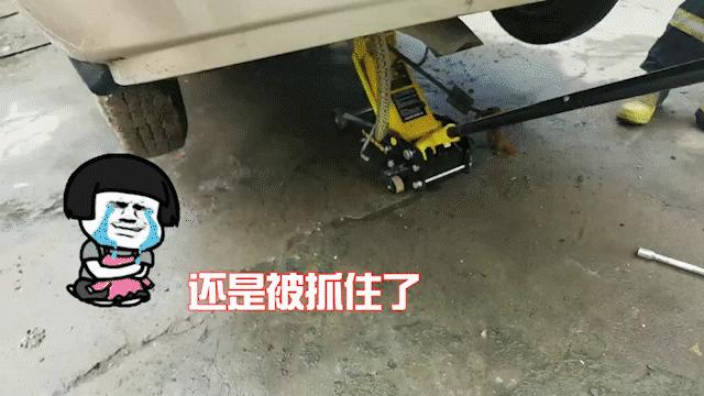 惊悚！锡城近日，蛇出没频繁，遇到它这么办？戳→