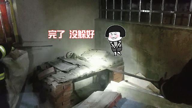 惊悚！锡城近日，蛇出没频繁，遇到它这么办？戳→