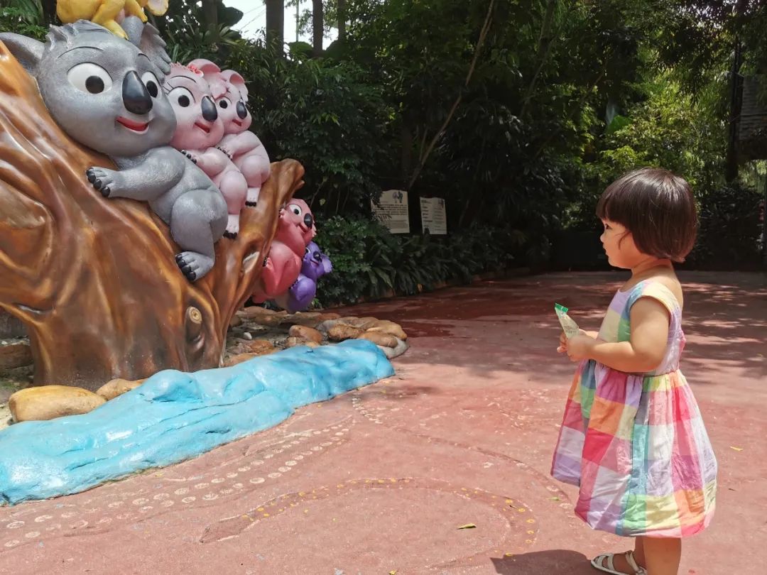 最新广州长隆野生动物园南门攻略,广州长隆动物园的白虎简介