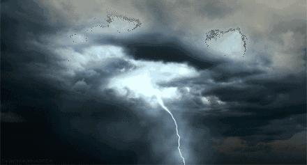 进入汛期这些自救本领要掌握,这份汛期自救必备常识卡请收好