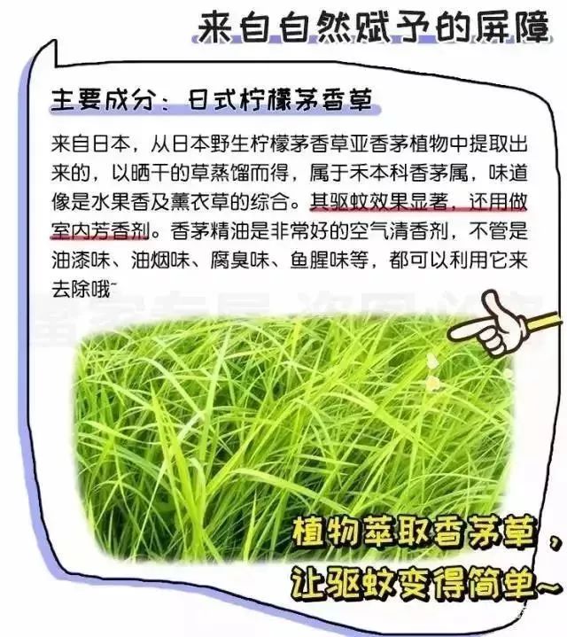 日本变态灭蚊神器,日本蚊虫叮咬止痒膏红皮