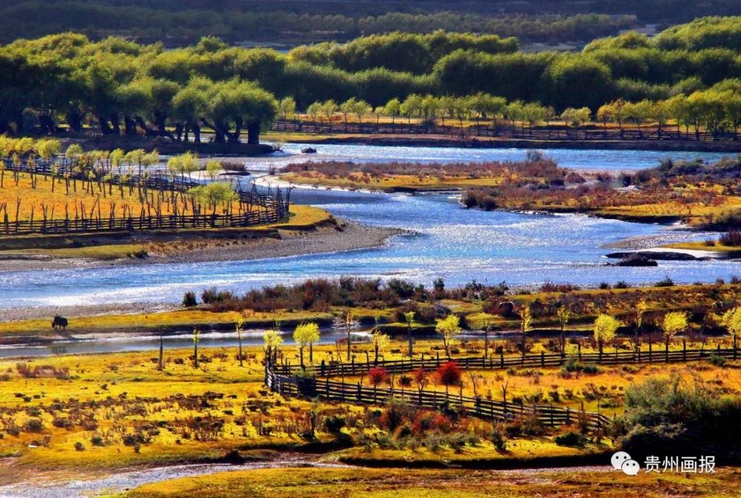 摄影家马金焰|*藏西**之行,一场触及灵魂的洗礼