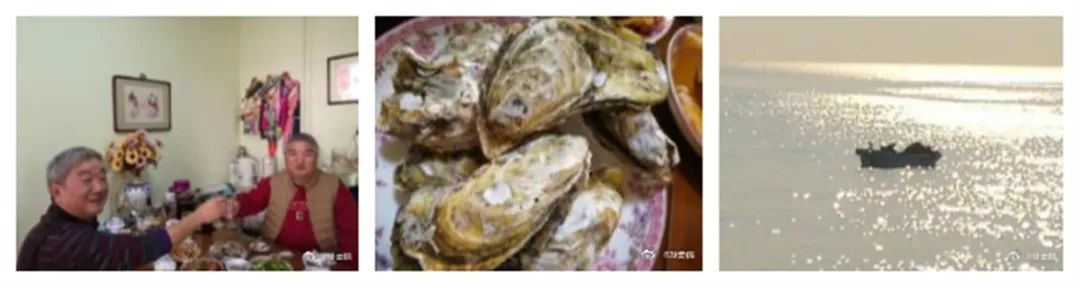 孙云晓的成长,孙云晓的家庭教育视频