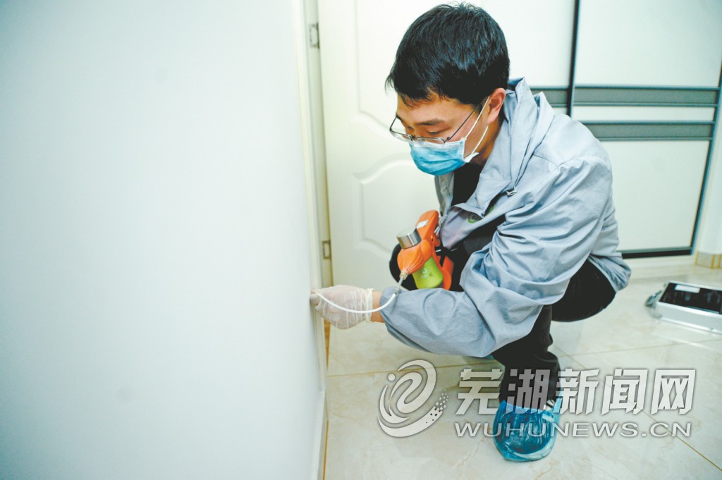 家中发现白蚁怎么办房屋会倒塌吗,请问家中发现白蚁应该怎样防治呢