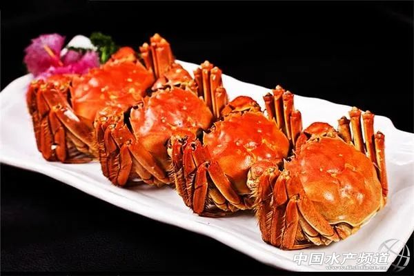 阳澄湖大闸蟹的真伪与安全,阳澄湖大闸蟹冒牌货多