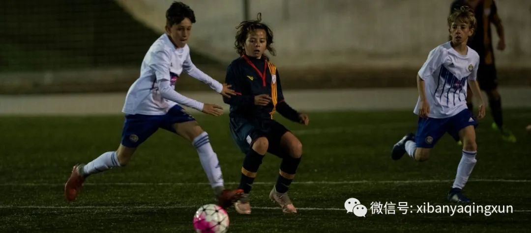 青少年联赛积分,青少年联赛2020