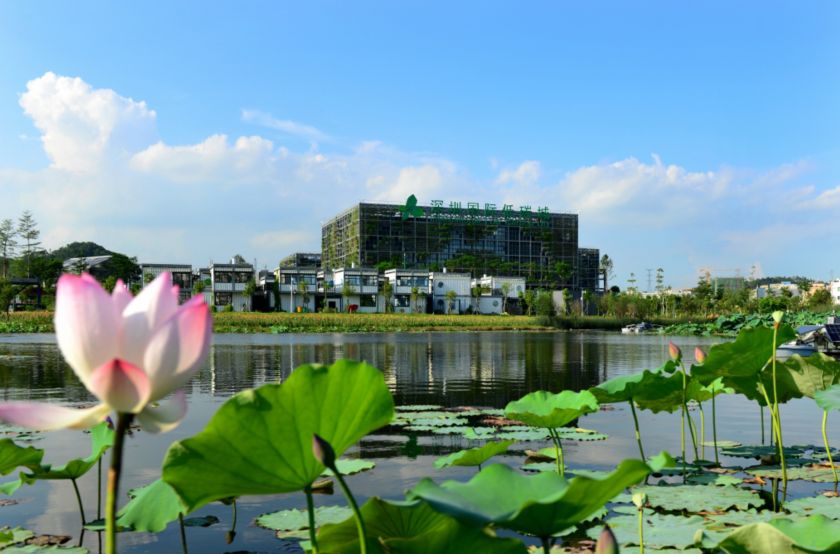 龙岗这个街道公布14个部门负责人手机号！有问题就直接找他们